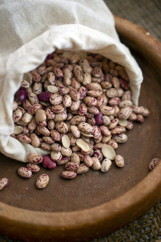 lectins: beans, kidney bean, mullet