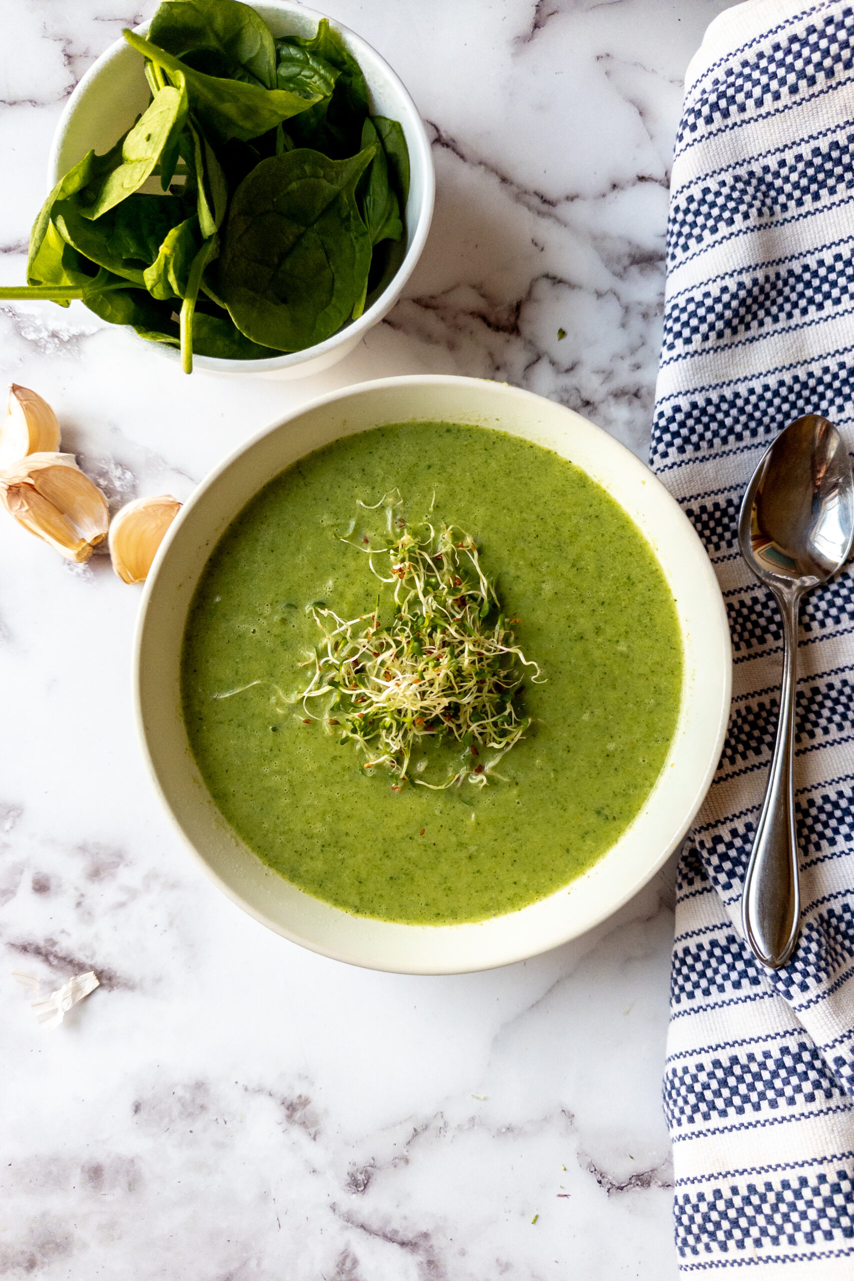 Anti-Cancer Broccoli Leek soup in a bowl